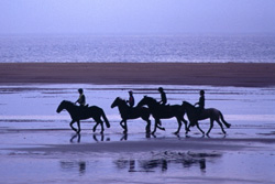 Equitation Equitation