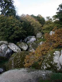 Forêt d'Huelgoat