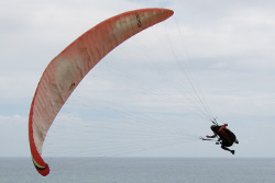 Parapente